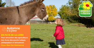 Automne à la ferme, animations pour toute la famille avec le réseau Bienvenue à la ferme Vendée