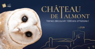 Château de Talmont - Plongez en famille au cœur du Moyen-Âge !